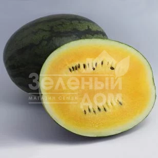 КС 500 F1/  KS 500 F1,60-65 дней фото 1