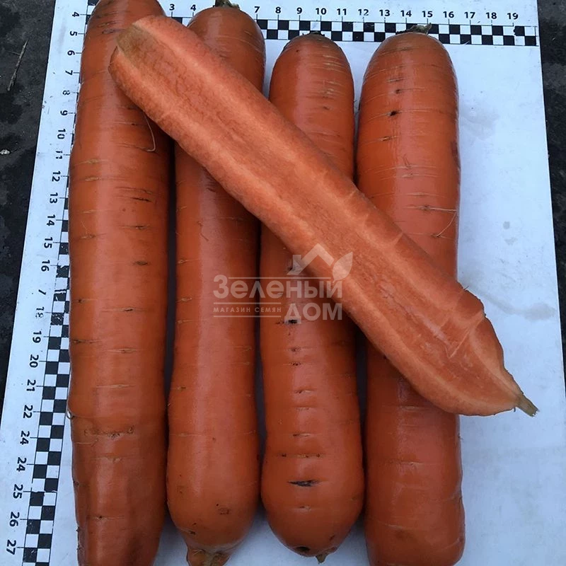 Ниндзя F1 / Ninja F1, 105 дней   фото 1