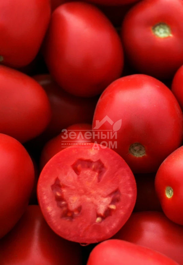 Пьетра Росса F1 / Petra Rossa F1,115 дней фото 4