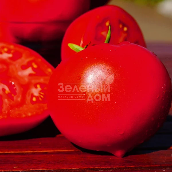 Каста F1 / Kasta F1,55-60 дней фото 4