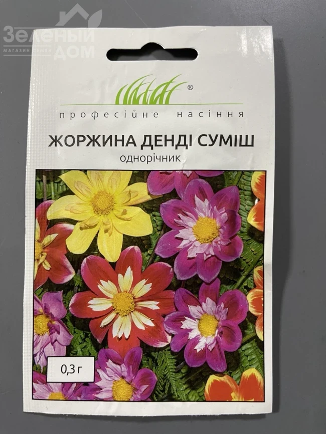 Георгина Денди (смесь) фото 1