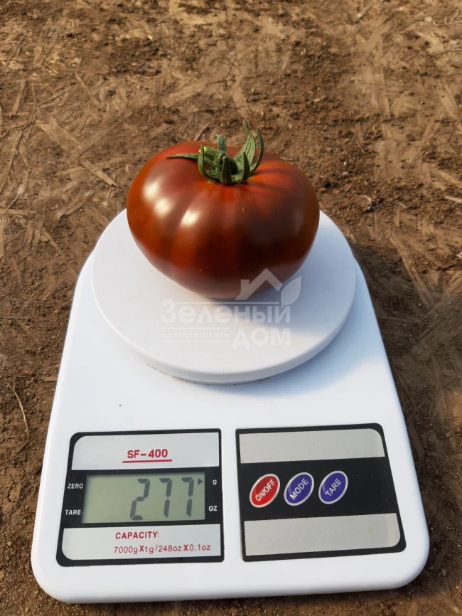 Керук F1 / Keruk F1, 70 дней фото 1