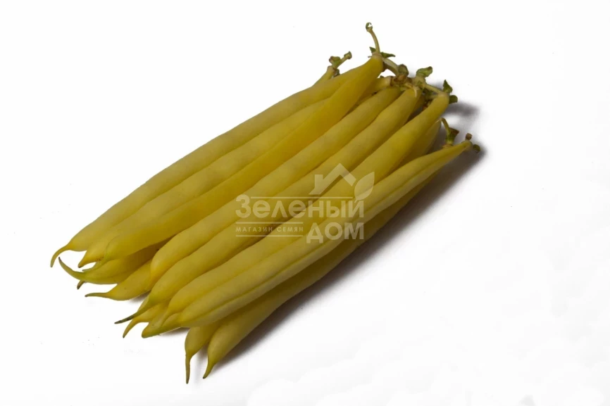 Голден Гол F1 / Golden Gol F1 фото 1