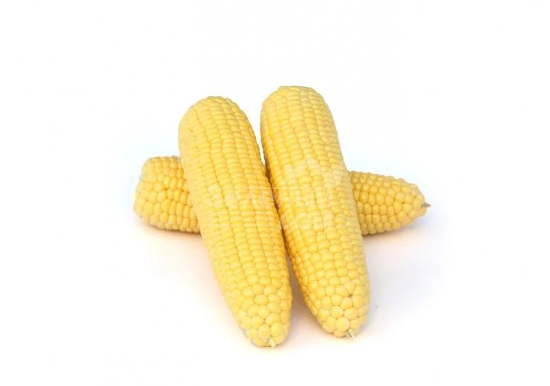 Карамелло F1 / Caramello F1,59-65 дней фото 1