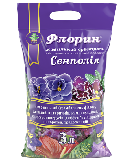 Флорин Сенполія / поживний субстрат фото 1