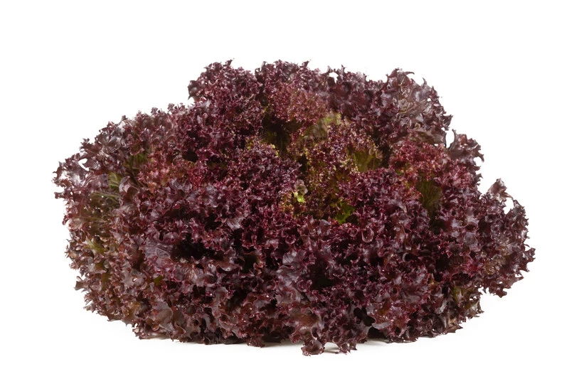 Самантайн / Samantine фото 3