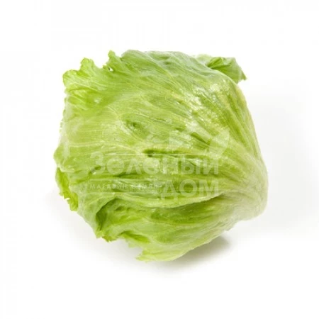 Изанас / Izanas,60-75 дней фото 1