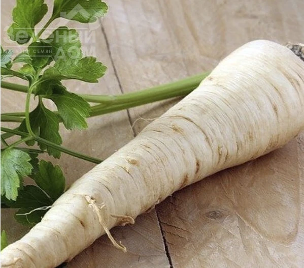 Берлиния / Berliniya фото 2