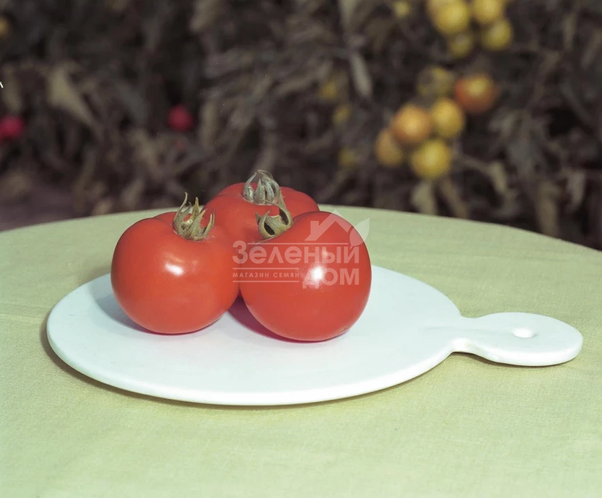 Полфаст  F1 / Polfast F1,54-58 дней фото 1