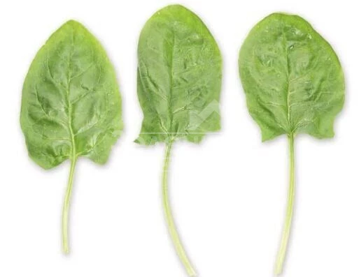 Гну F1 / Gnu F1 фото 1