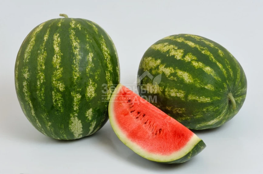 Барака F1 / Baraka F1, 62-64 дня фото 1