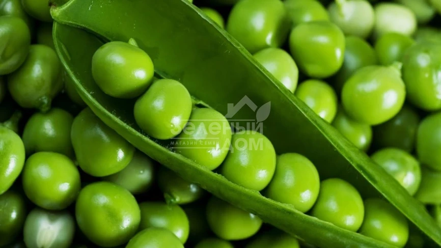 Экселенс / Excalance фото 1