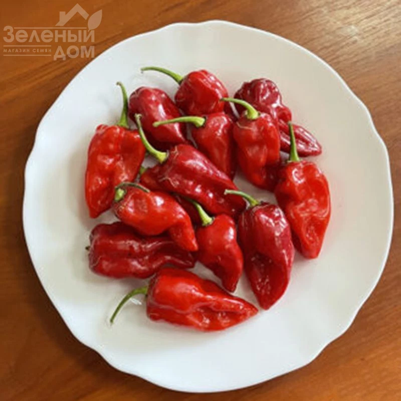 9020 F1 / 9020 F1, 60 дней фото 1