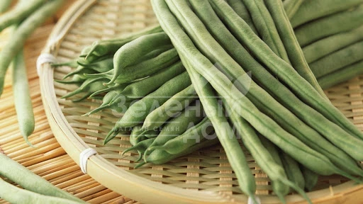 Гама / Gama фото 1