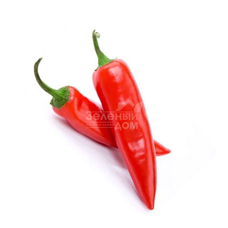 Черай F1 / Cheraj F1 фото 1