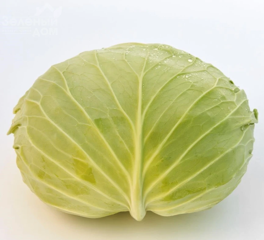 Фелисити F1 / Felisiti F1, 70-75 дней фото 1