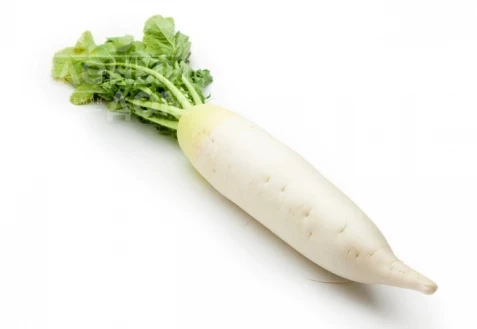 КС 50  F1 / KS 50  F1 фото 1