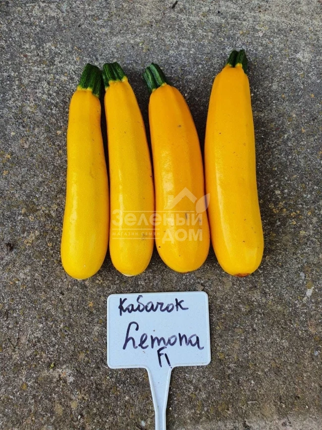 Лемона F1 / Lemona F1, 38-40 дней фото 1