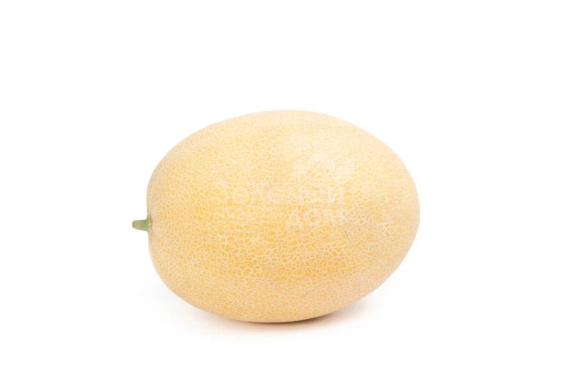 Тагбо F1 / Tagbo F1, 60-65 дней фото 2