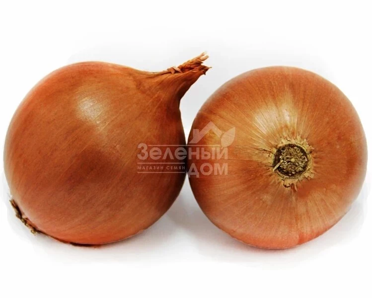 Скайбел F1 / Skybell F1 фото 1