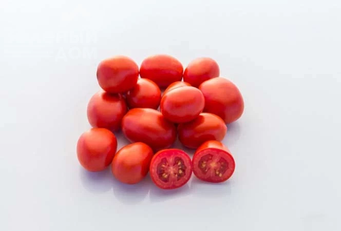 1301 F1 / 1301 F1 фото 3