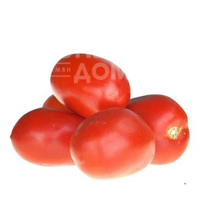 ЯГ 8810 F1 / JAG 8810 F1,115-120 дней фото 3