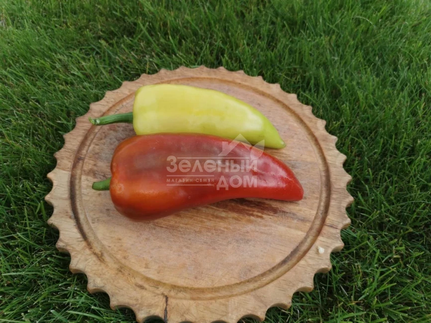 Дуэт F1 / Duet F1,62-67 дней фото 1