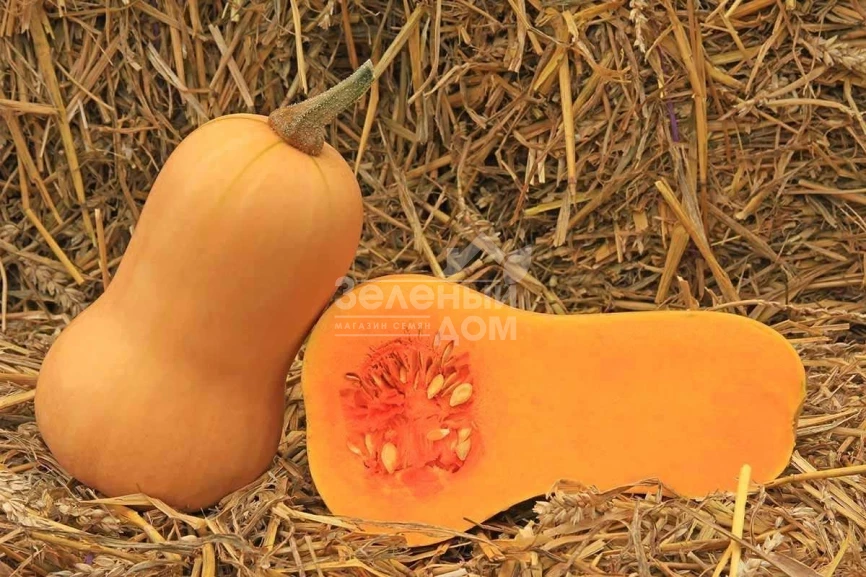 Волтгем батернат F1 / Voltgem baternat F1,120 дней фото 2