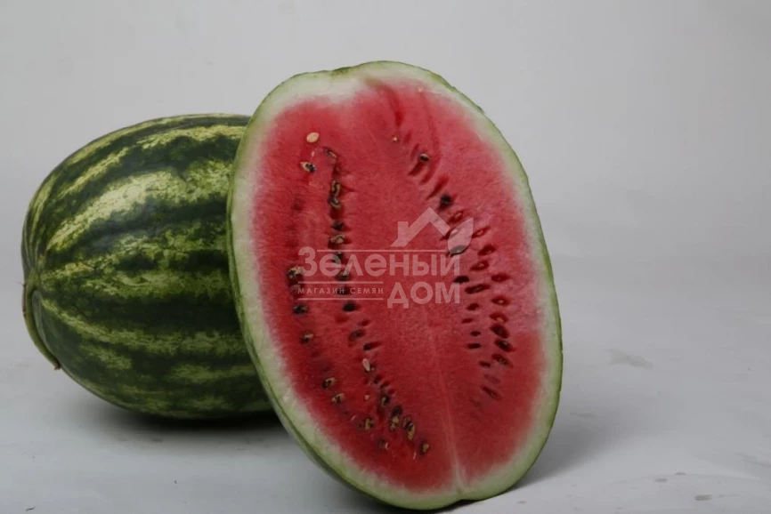 ЛС 1810 F1 / LS 1810 F1  фото 2