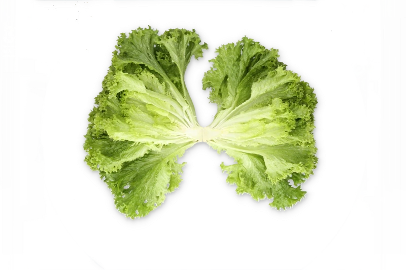 Лиадин / Liadine фото 2