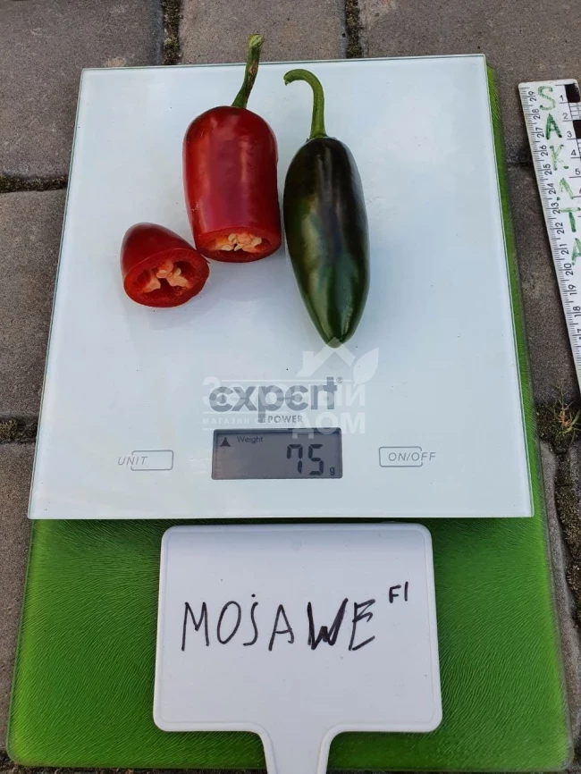 Моджаве F1 / Modzhave F1 фото 3