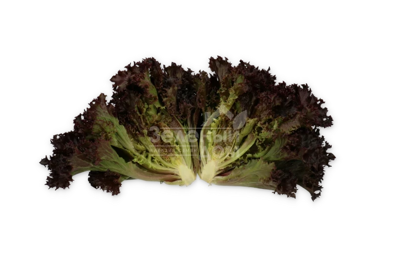 Скамандер / Scamander фото 3