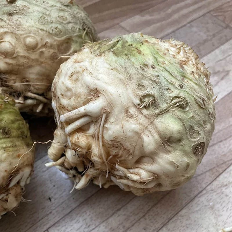 Вольт F1 / Volt F1 фото 1