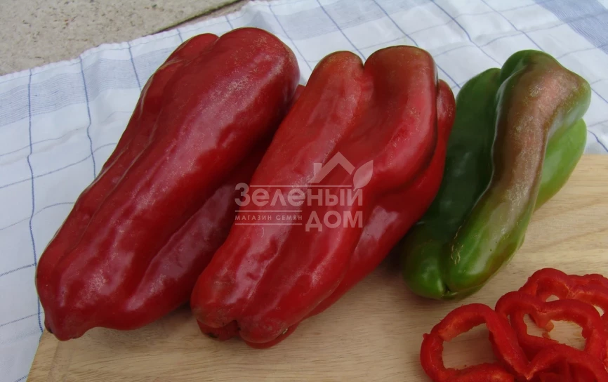 Фатима / Fatima фото 1