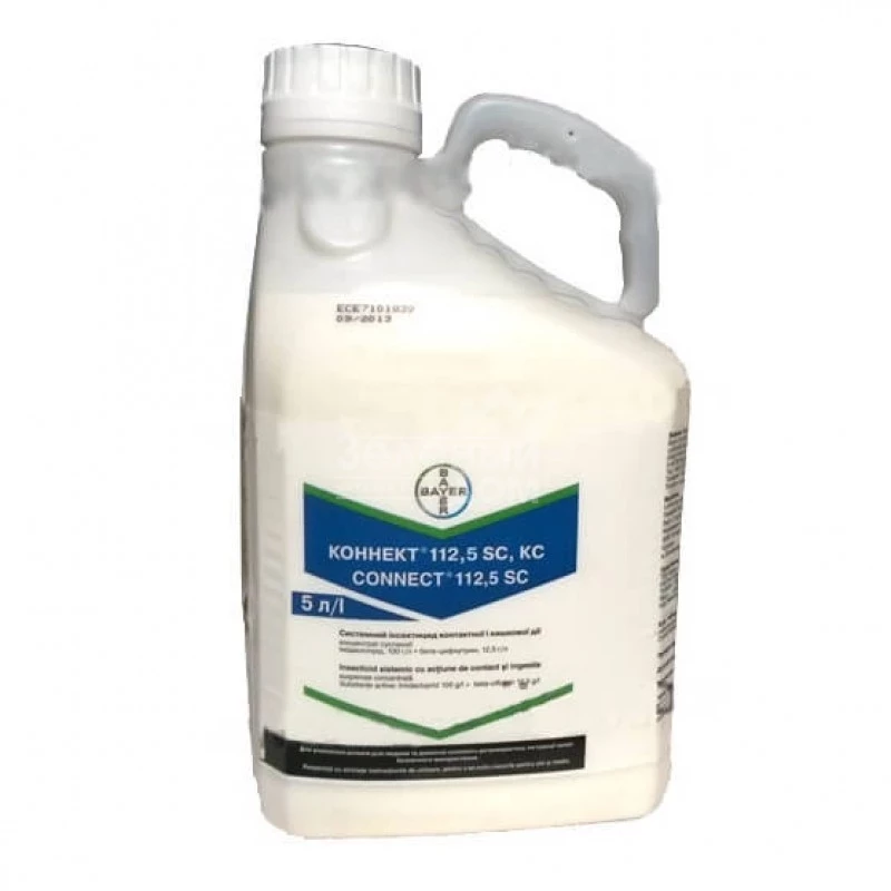 Коннект / Connect фото 1