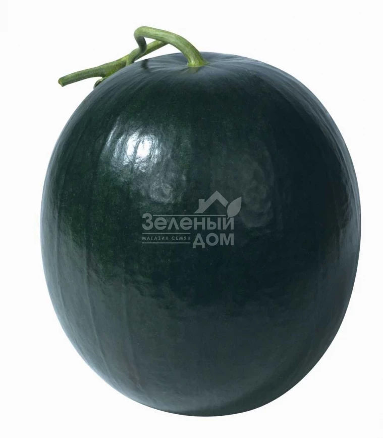 Блэк Хироу F1 / Black Hero F1 фото 1