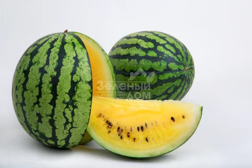 Покемон (LS 1809) F1 / Pokemon (LS 1809) F1 фото 2