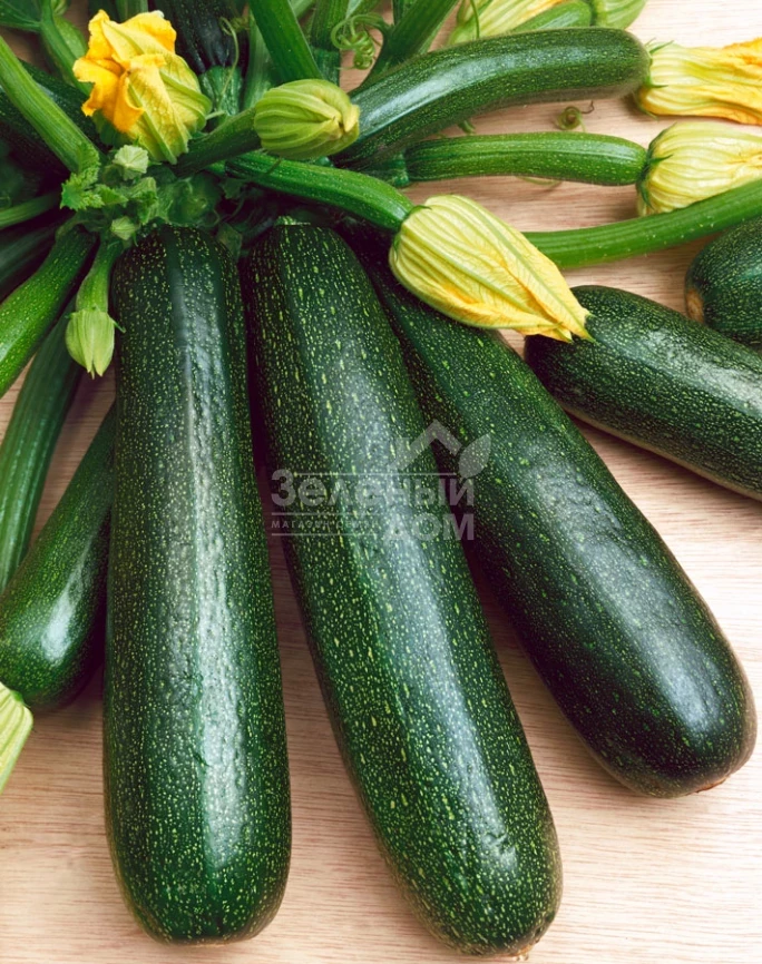 Стартгрин F1 / Startgreen F1,40-45 дней фото 1