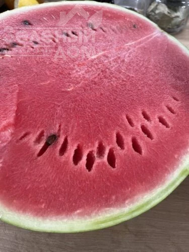 Лимпопо F1 / Limpopo F1, 72 дня фото 1