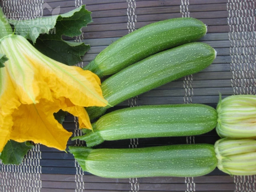 Мерлин (INX 10554) F1 / Merlin (INX 10554) F1 фото 1