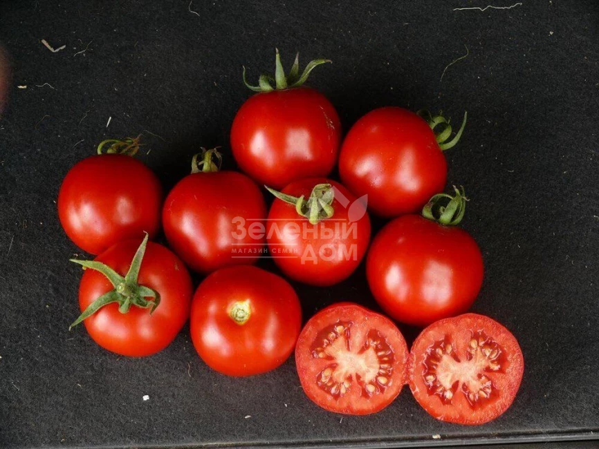 Партова F1 / Partova F1 фото 1