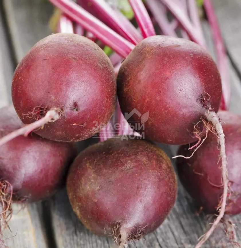 Ред Сан F1 / Red Sun F1,100-105 дней фото 1