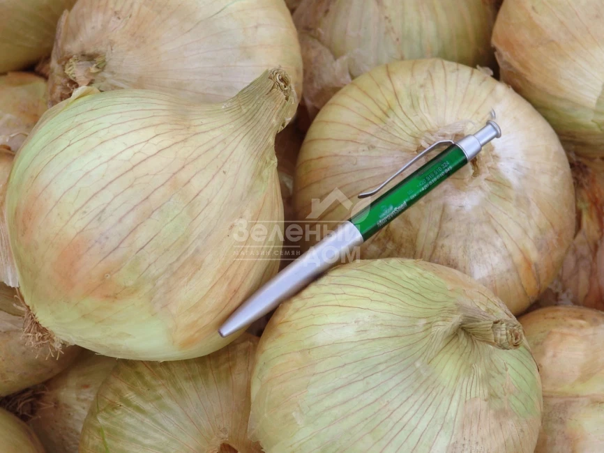 Глобо / Globo фото 1