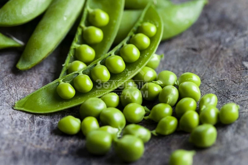 Преладо / Prelado,58 дней фото 4