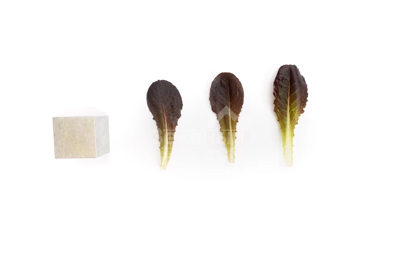 Дзенарді (Zanardi RZ) ромен червоний фото 2