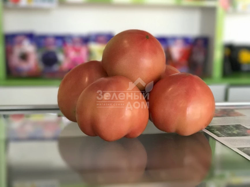 Ризотта F1 / Rizzota F1 фото 2