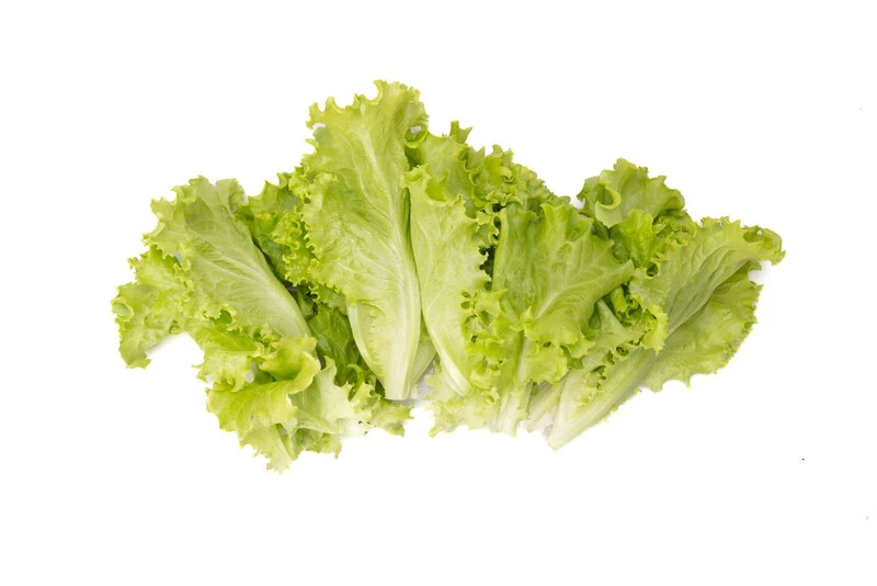 Афилион / Aphylion фото 1