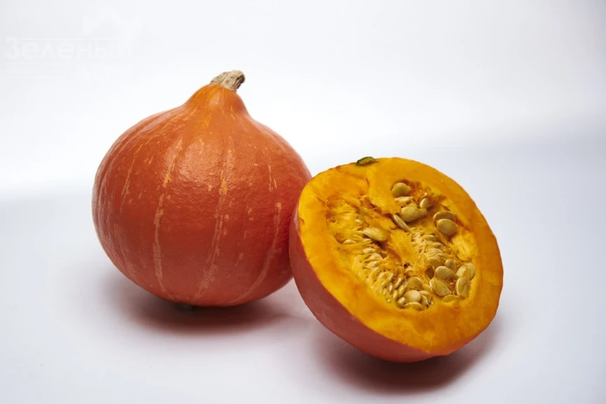 Колинки F1 / Kolinki F1  фото 2