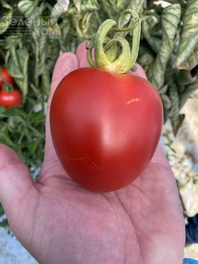 Бильбао F1 / Bilbao F1 фото 1