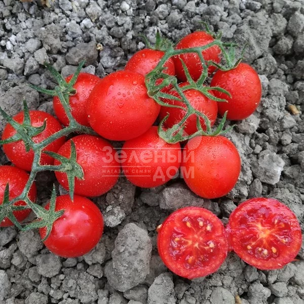 Воларе F1 /  Volare F1 фото 1